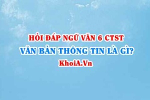 Văn bản thông tin là gì? Sapo là gì? Nhan đề, đề mục là gì? Ngữ văn lớp 6 CTST